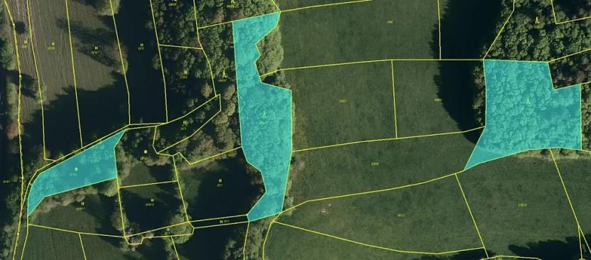 Prodej lesa, Valašská Polanka, 9692 m2