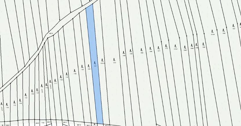 Prodej lesa, Ločenice, 5657 m2