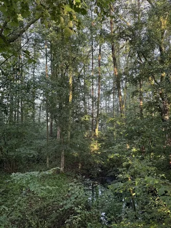 Prodej podílu pozemku, Bohuslavice, 2784 m2