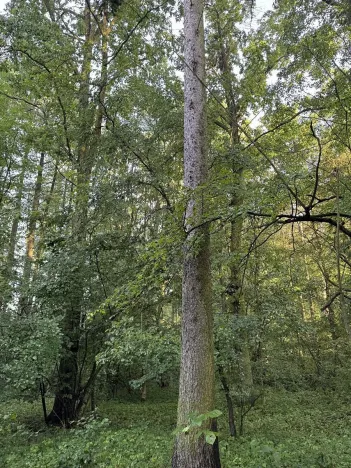 Prodej podílu pozemku, Bohuslavice, 2784 m2