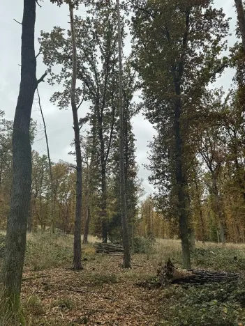 Prodej podílu pozemku, Dolní Lukavice, 43384 m2