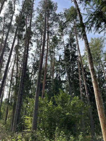 Prodej podílu pozemku, Velký Ratmírov, 3510 m2