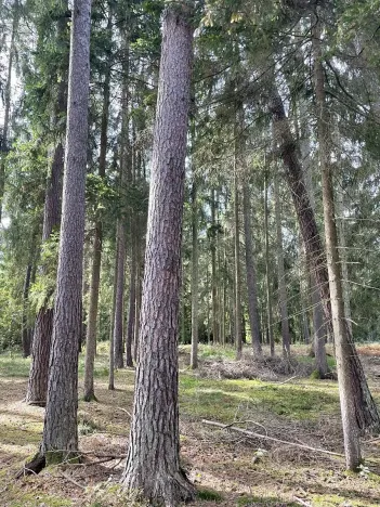 Prodej podílu pozemku, Velký Ratmírov, 3510 m2