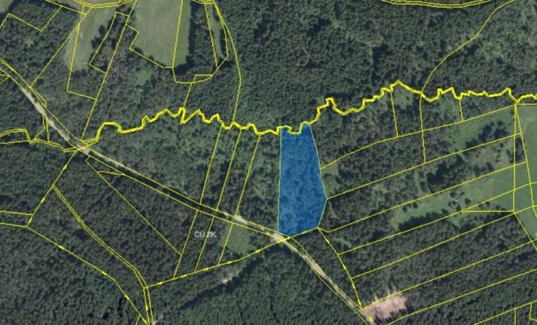 Prodej podílu lesa, Svratka, 1485 m2