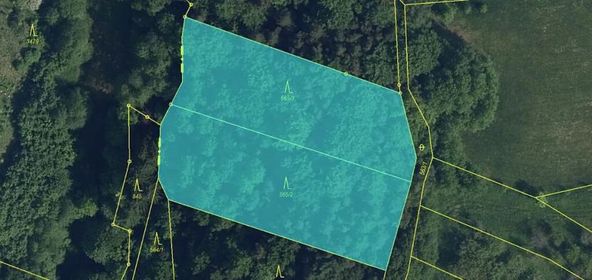 Prodej lesa, Loučky, 4938 m2