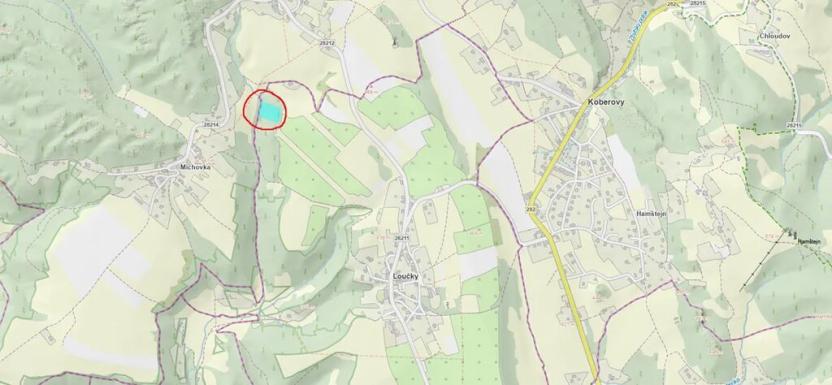 Prodej lesa, Loučky, 4938 m2