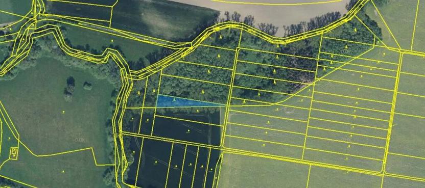 Prodej podílu lesa, Dobruška, 986 m2