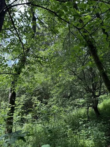 Prodej podílu pozemku, Suchdol, 9027 m2