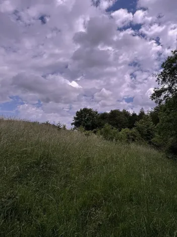 Prodej podílu pozemku, Suchdol, 9027 m2