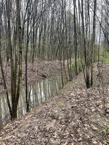 Prodej lesa, Pardubice, 7559 m2