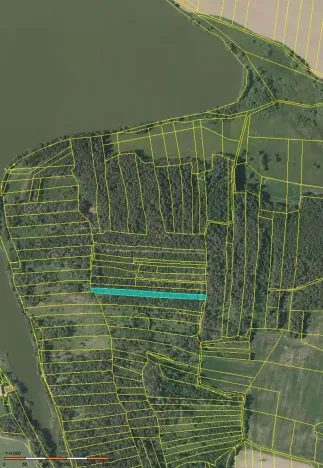 Prodej lesa, Myslív, 4556 m2