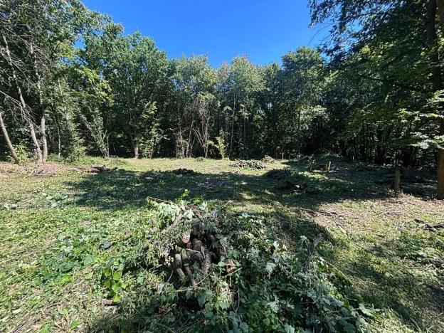 Prodej zahrady, Zlín, 1985 m2