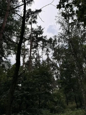 Prodej podílu pozemku, Kojice, 4807 m2