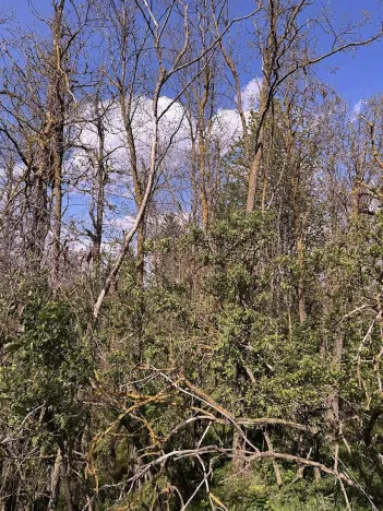 Prodej pozemku, Slavičky, 5511 m2