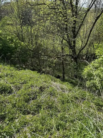 Prodej pozemku, Slavičky, 5511 m2