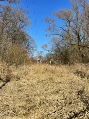 Prodej lesa, Jaroměř, 19276 m2