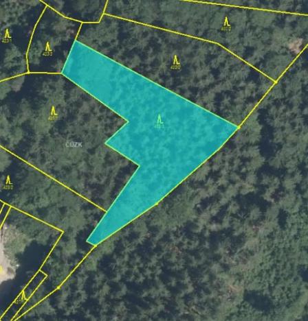 Prodej podílu lesa, Líšný, 1047 m2