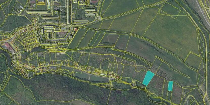 Prodej lesa, Bílina, 7458 m2