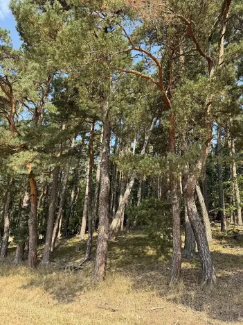 Prodej podílu pozemku, Hradiště, 3093 m2