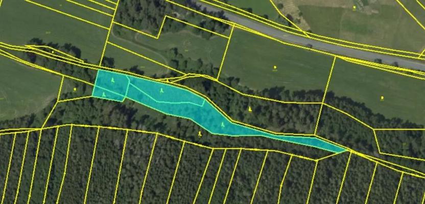 Prodej lesa, Bělá u Jevíčka, 5469 m2