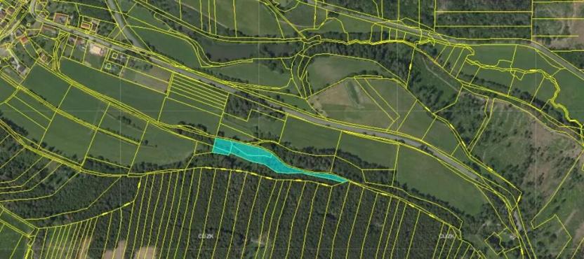 Prodej lesa, Bělá u Jevíčka, 5469 m2