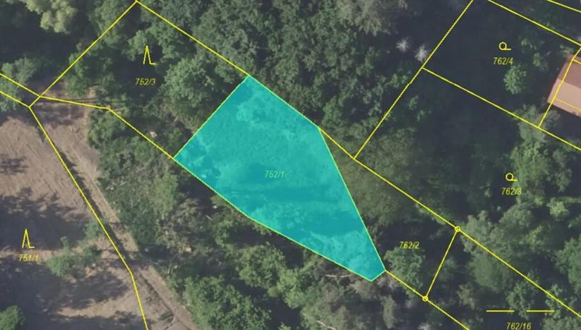 Prodej lesa, Vlašim, 3990 m2