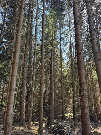 Prodej podílu pozemku, Studená, 18432 m2