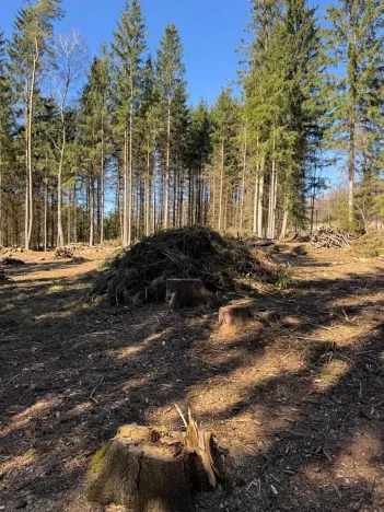 Prodej podílu pozemku, Studená, 18432 m2