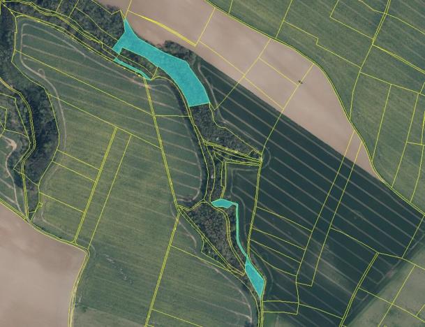 Prodej lesa, Mělnické Vtelno, 14092 m2