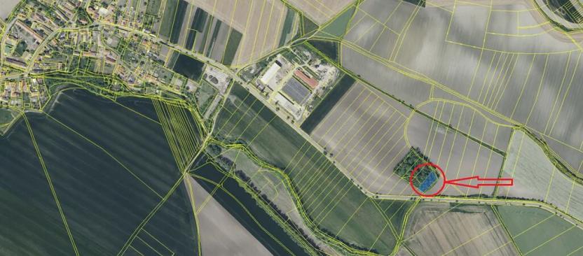 Prodej lesa, Děčany, 1581 m2