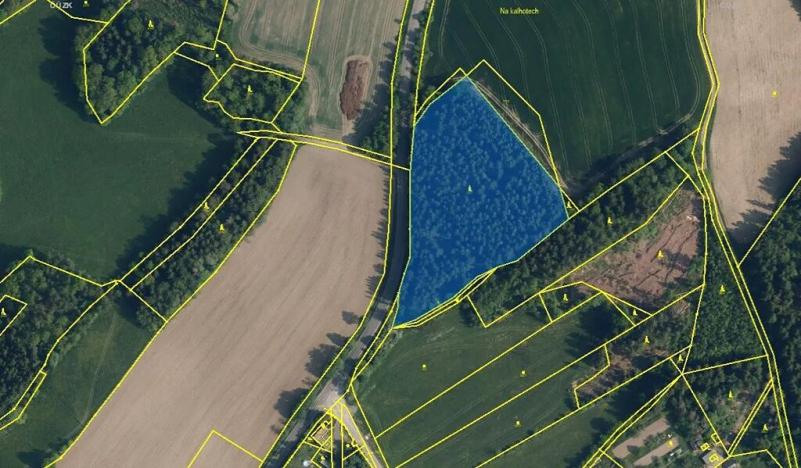 Prodej podílu lesa, Malá Skála, 6790 m2