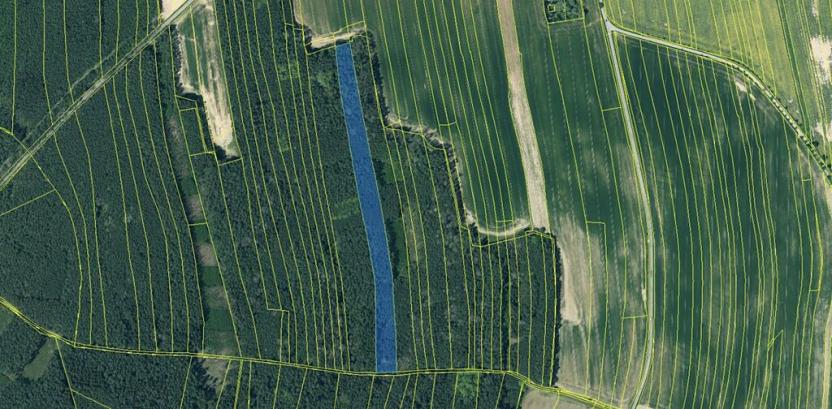 Prodej lesa, Hromnice, 20955 m2