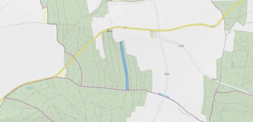 Prodej lesa, Hromnice, 20955 m2