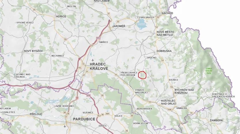 Prodej podílu lesa, Přepychy, 6506 m2