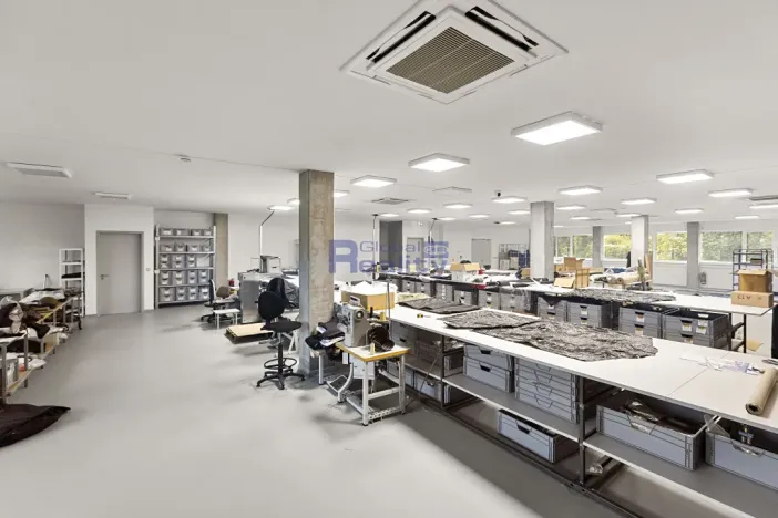 Prodej výrobních prostor, Hradec Králové, Jana Krušinky, 2133 m2