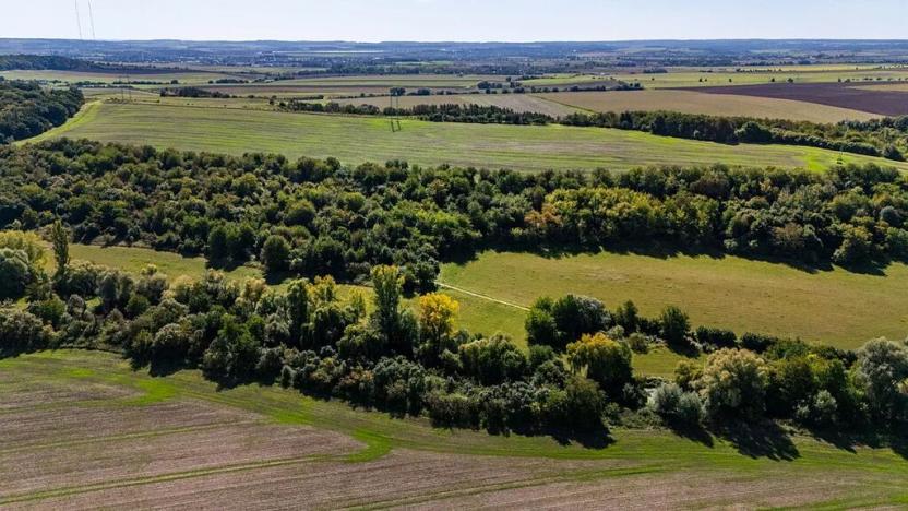 Prodej rodinného domu, Kounice, 105 m2