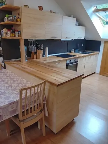 Prodej komerční nemovitosti, Hanušovice, 891 m2