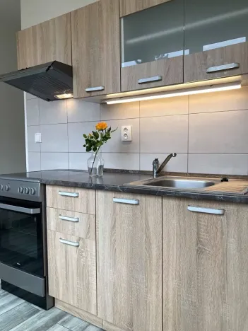 Pronájem bytu 2+1, Chomutov, Cihlářská, 52 m2