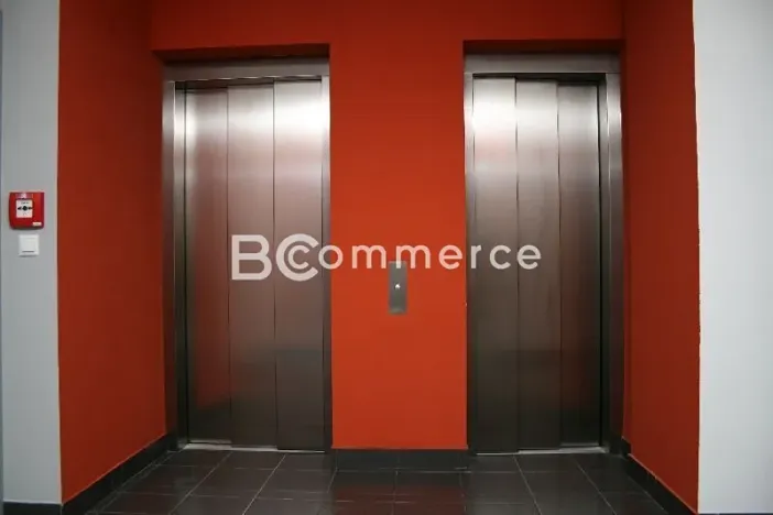 Pronájem kanceláře, Brno, 255 m2