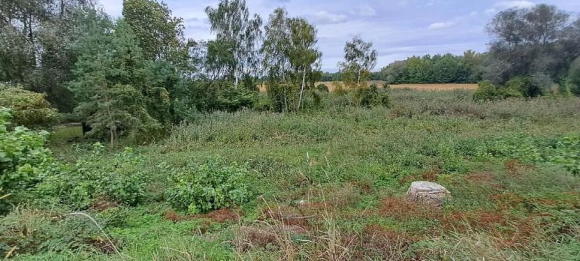 Prodej zahrady, Borek, 3737 m2