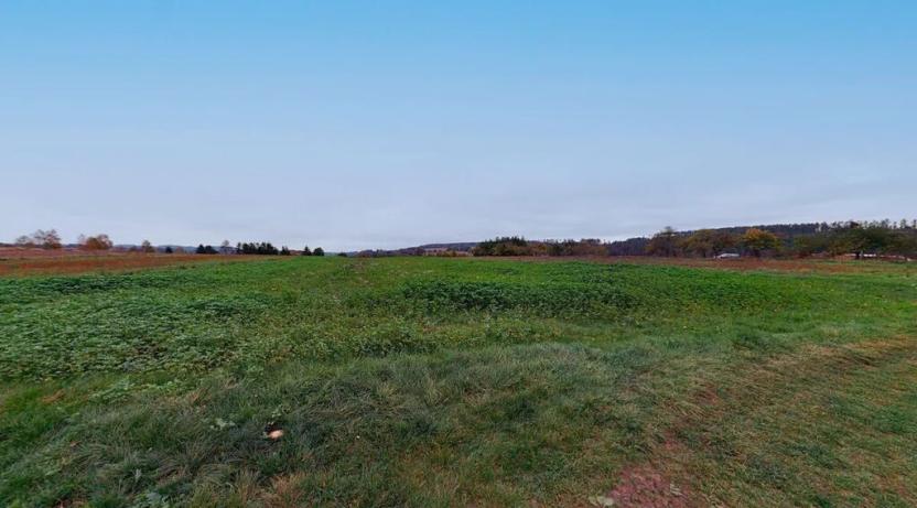 Prodej pozemku pro bydlení, Zruč nad Sázavou, 3495 m2