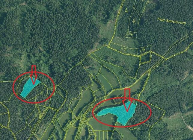 Prodej podílu lesa, Vlachovo Březí, 1357 m2