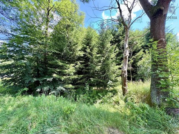 Prodej zemědělské usedlosti, Sněžné, 200 m2