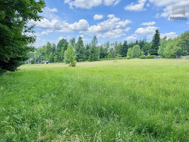 Prodej zemědělské usedlosti, Sněžné, 200 m2