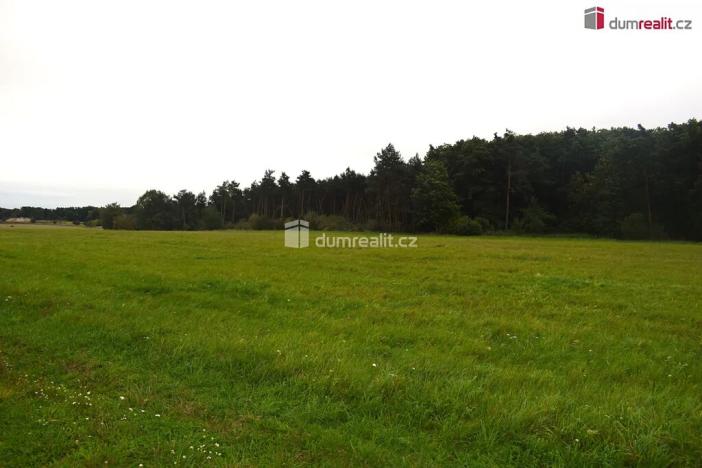 Prodej pole, Benátky nad Jizerou, Pražská, 6490 m2