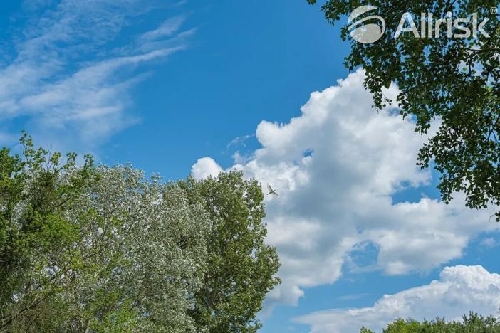 Prodej pozemku pro bydlení, Bulhary, 604 m2