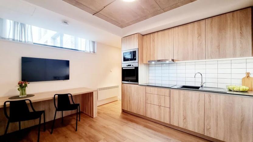 Pronájem bytu 1+kk, Brno, V rejích, 21 m2