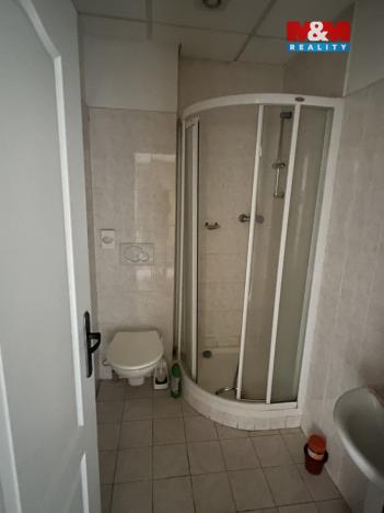 Prodej ubytování, Zásada, 600 m2