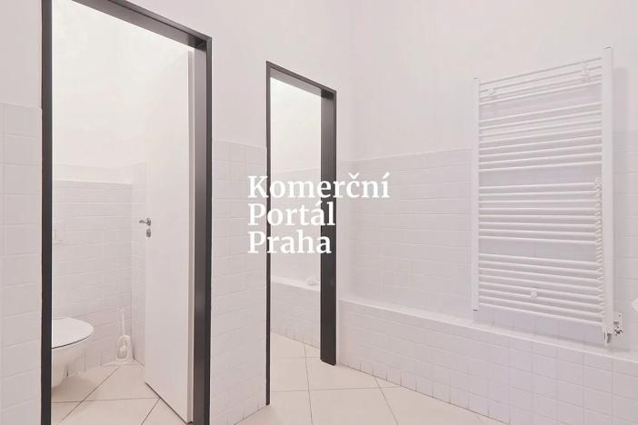 Pronájem obchodního prostoru, Praha - Nové Město, Vodičkova, 311 m2