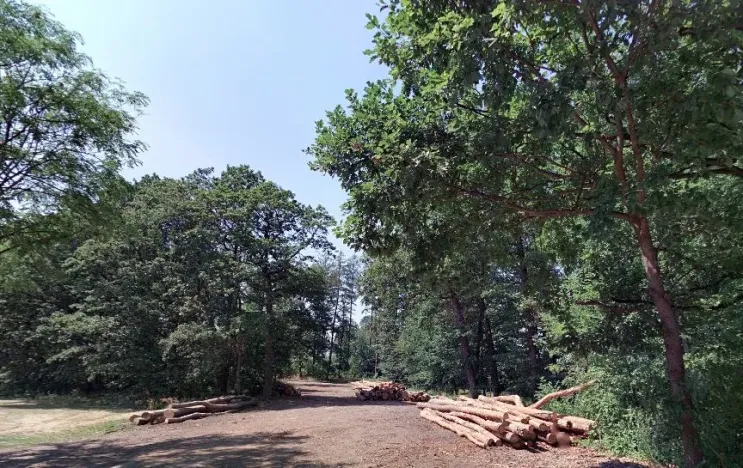 Prodej podílu lesa, Luhačovice, 852931 m2